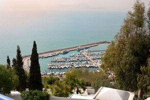 La VIlla Bleue Sidi Bou Saïd - Tunisie